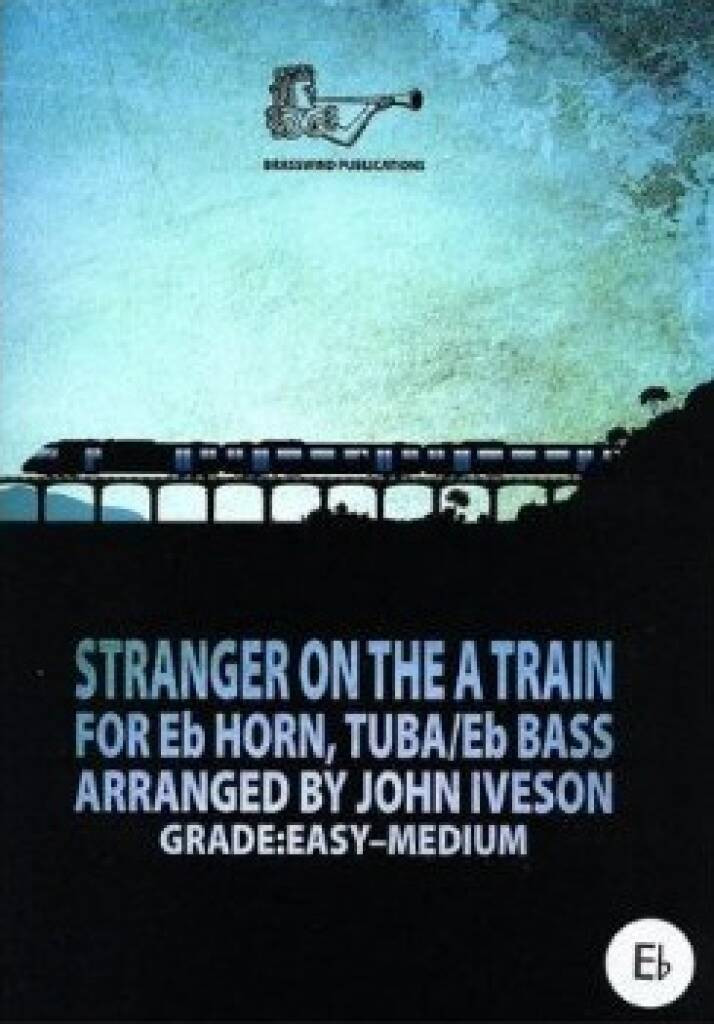 Stranger on the a Train...